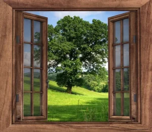 wooden Window