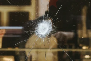Damaged Window Screens